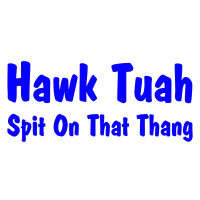 Sticker ,,Hawk Tuah,,